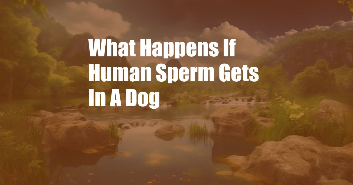 What Happens If Human Sperm Gets In A Dog