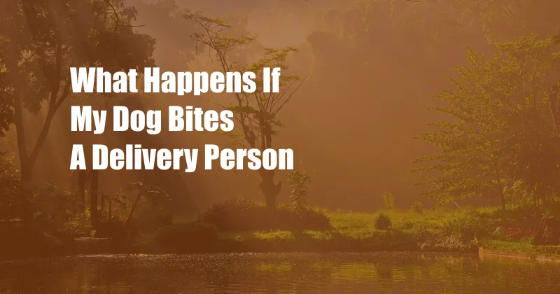 What Happens If My Dog Bites A Delivery Person