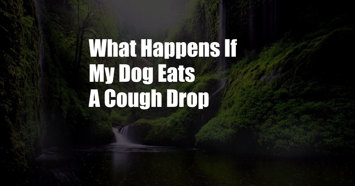 What Happens If My Dog Eats A Cough Drop