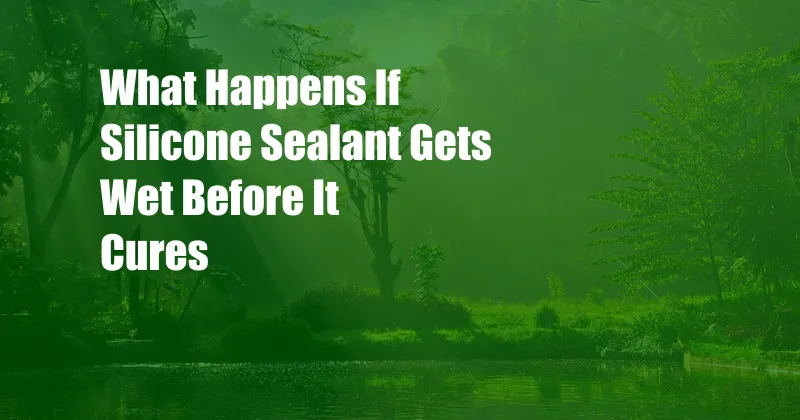 What Happens If Silicone Sealant Gets Wet Before It Cures