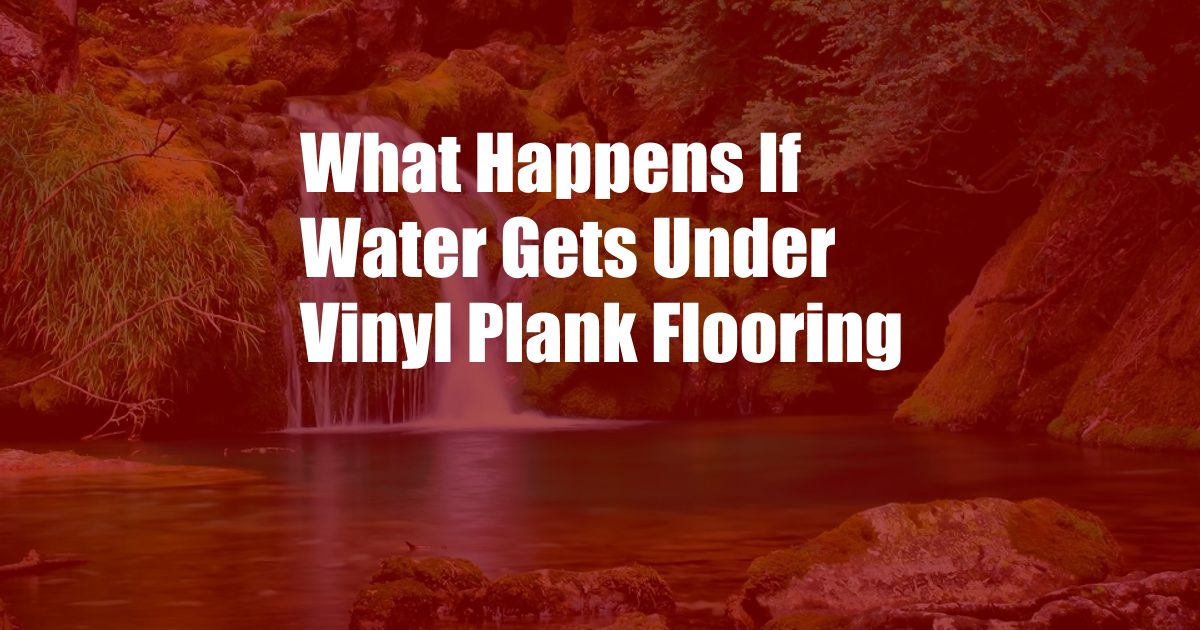 What Happens If Water Gets Under Vinyl Plank Flooring