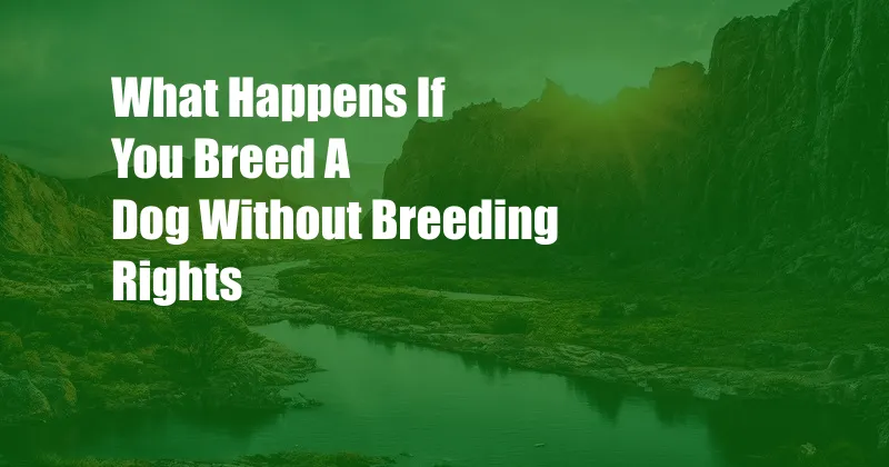 What Happens If You Breed A Dog Without Breeding Rights