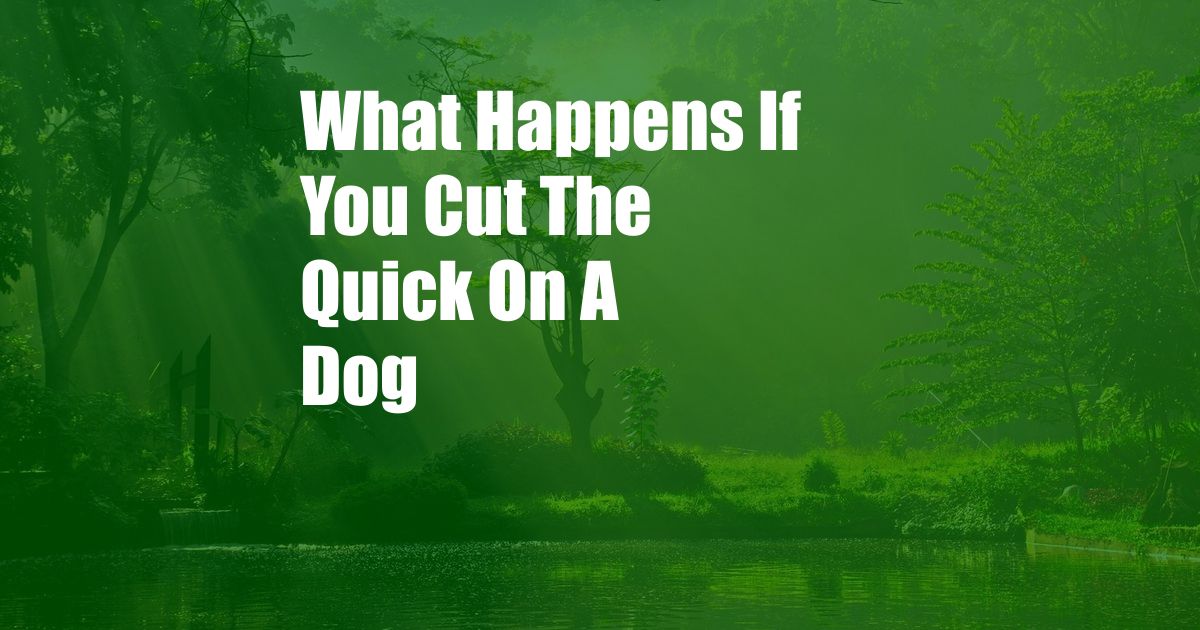 What Happens If You Cut The Quick On A Dog