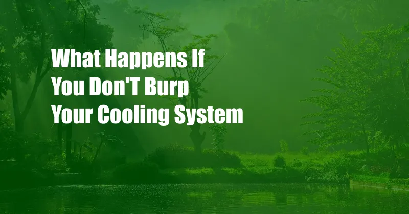 What Happens If You Don'T Burp Your Cooling System