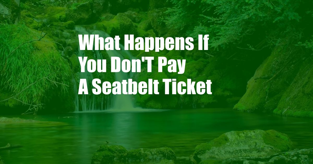 What Happens If You Don'T Pay A Seatbelt Ticket