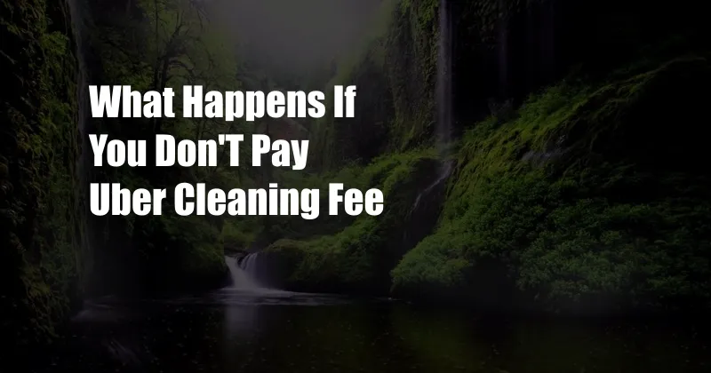 What Happens If You Don'T Pay Uber Cleaning Fee