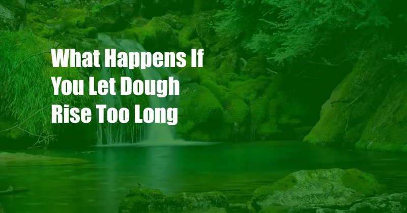 What Happens If You Let Dough Rise Too Long