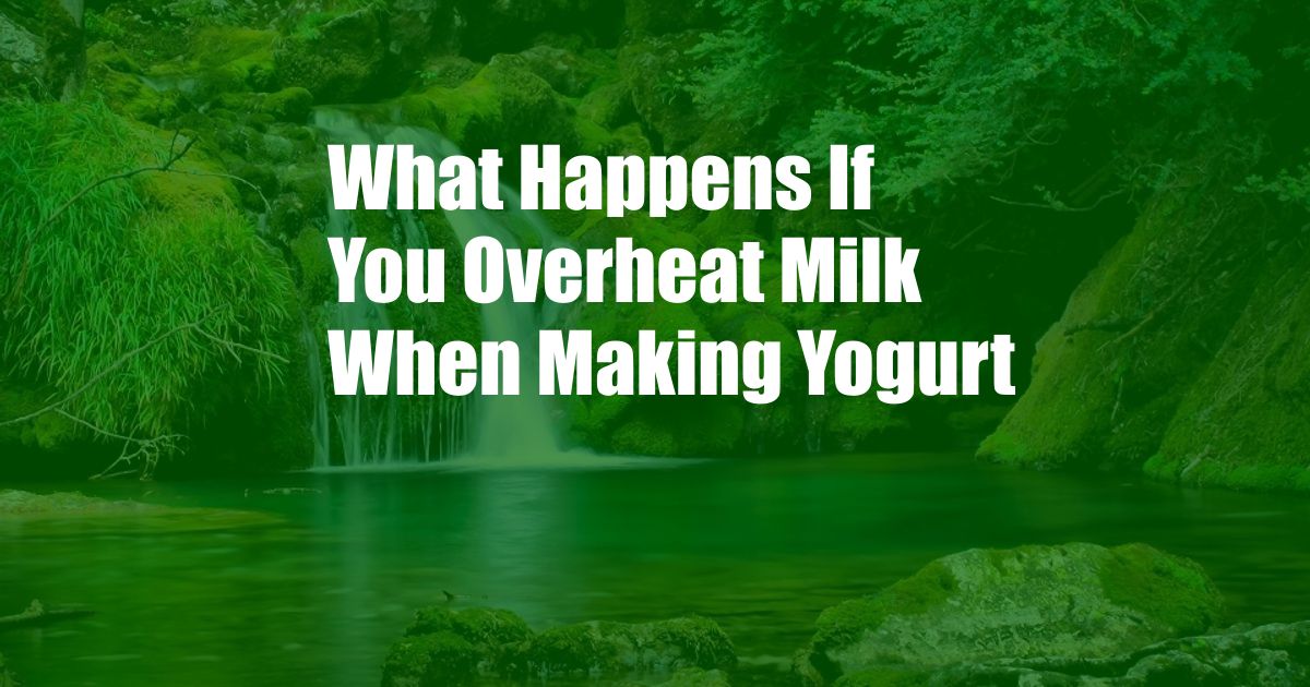 What Happens If You Overheat Milk When Making Yogurt