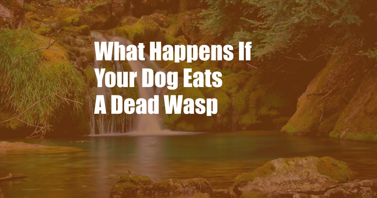 What Happens If Your Dog Eats A Dead Wasp