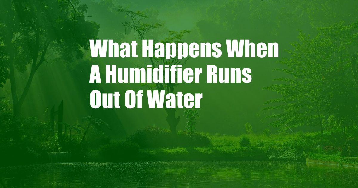 What Happens When A Humidifier Runs Out Of Water