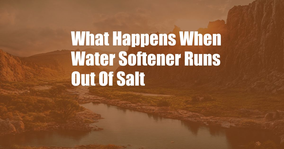 What Happens When Water Softener Runs Out Of Salt