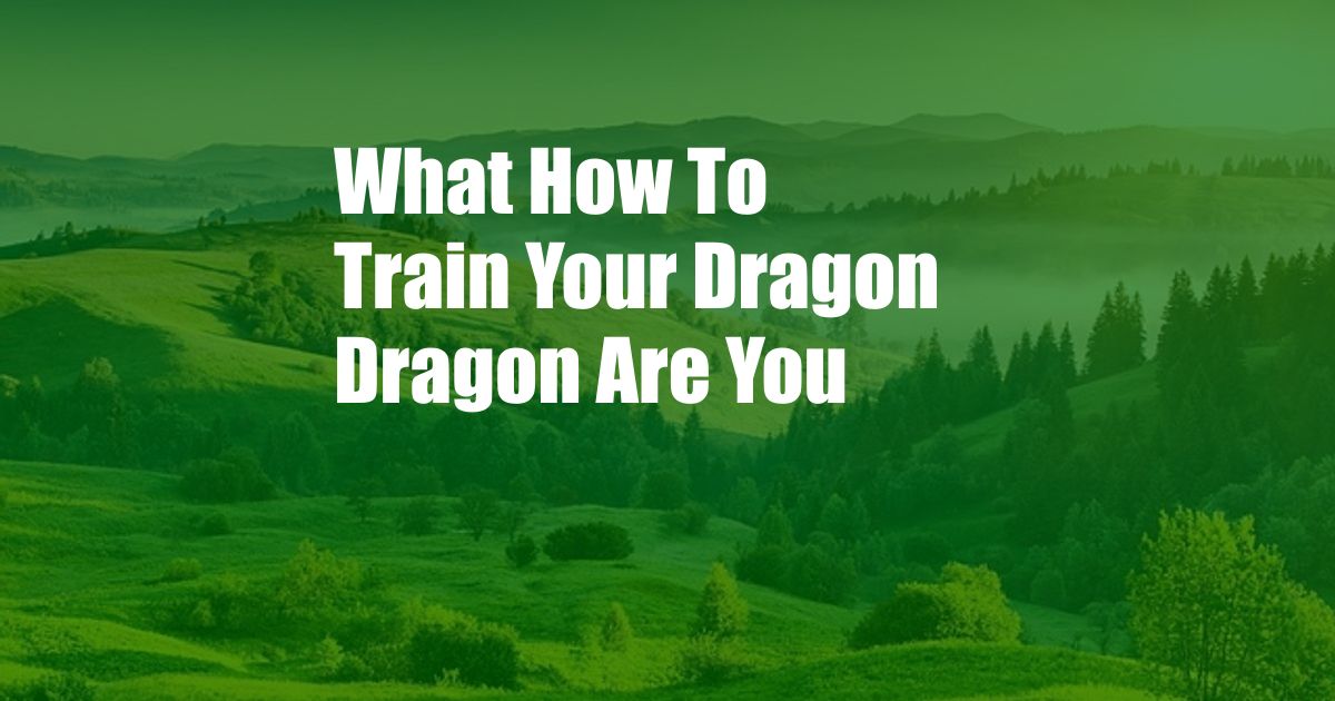 What How To Train Your Dragon Dragon Are You