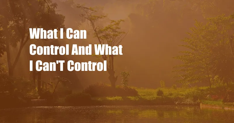 What I Can Control And What I Can'T Control