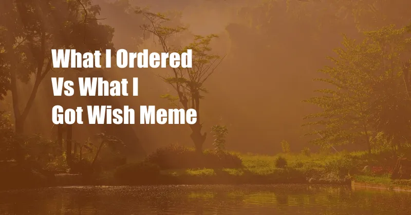 What I Ordered Vs What I Got Wish Meme
