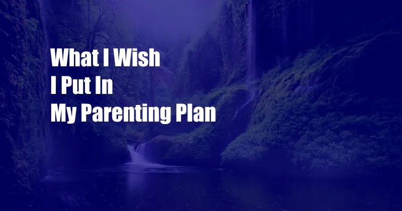 What I Wish I Put In My Parenting Plan