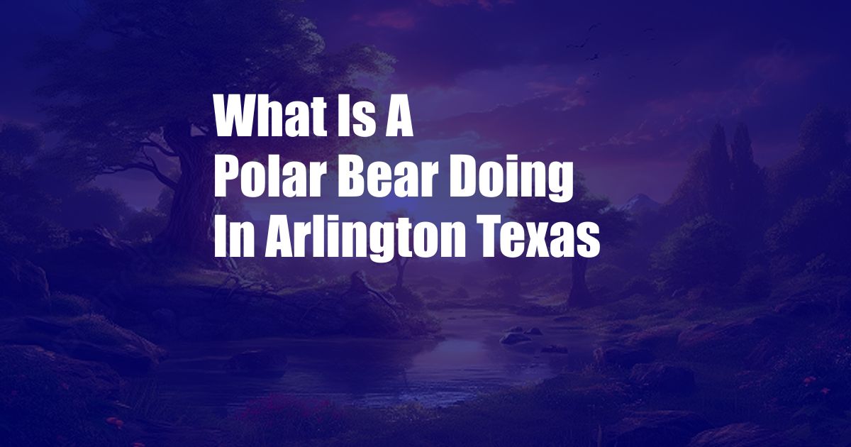 What Is A Polar Bear Doing In Arlington Texas