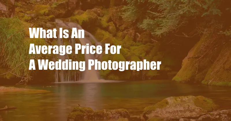 What Is An Average Price For A Wedding Photographer