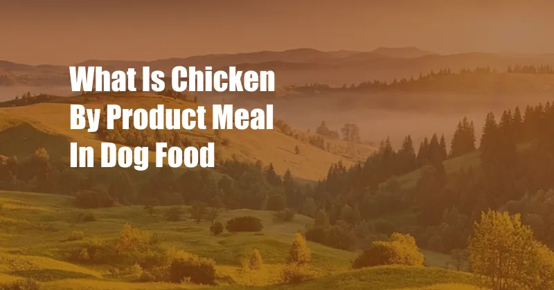 What Is Chicken By Product Meal In Dog Food