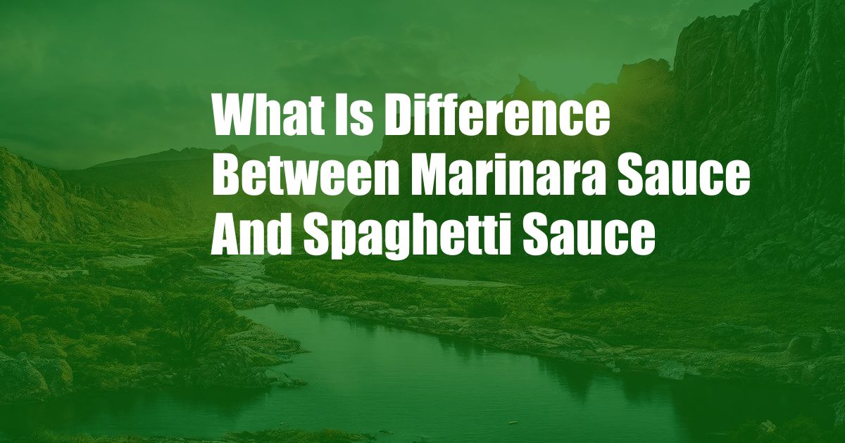 What Is Difference Between Marinara Sauce And Spaghetti Sauce