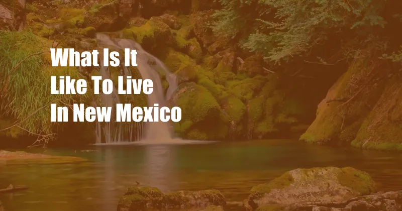 What Is It Like To Live In New Mexico