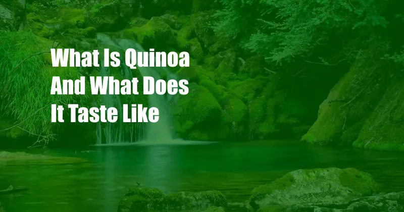 What Is Quinoa And What Does It Taste Like