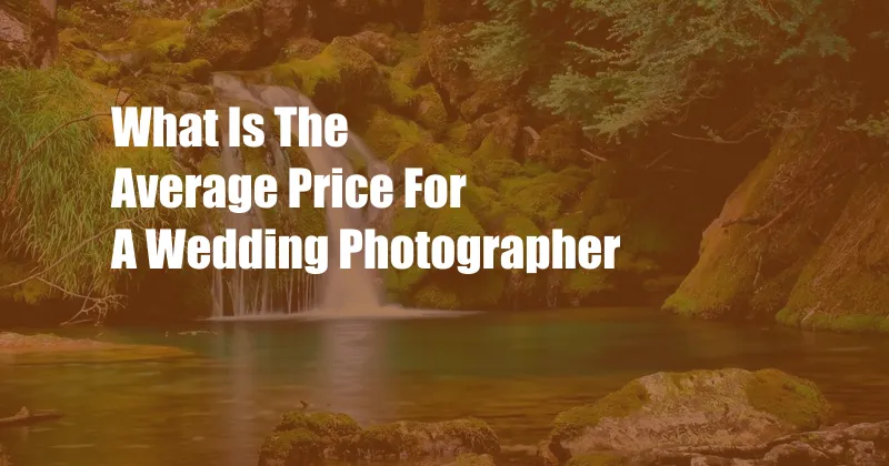 What Is The Average Price For A Wedding Photographer