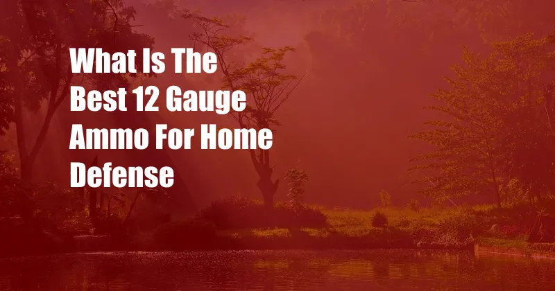 What Is The Best 12 Gauge Ammo For Home Defense