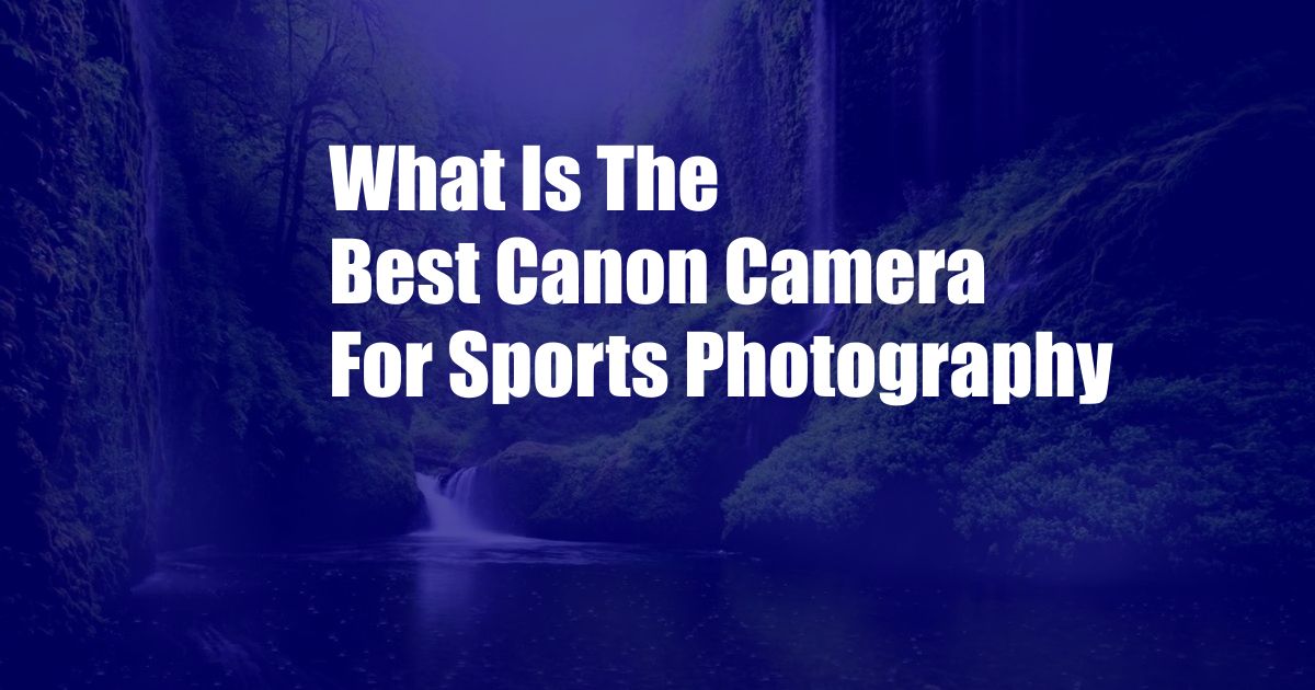 What Is The Best Canon Camera For Sports Photography