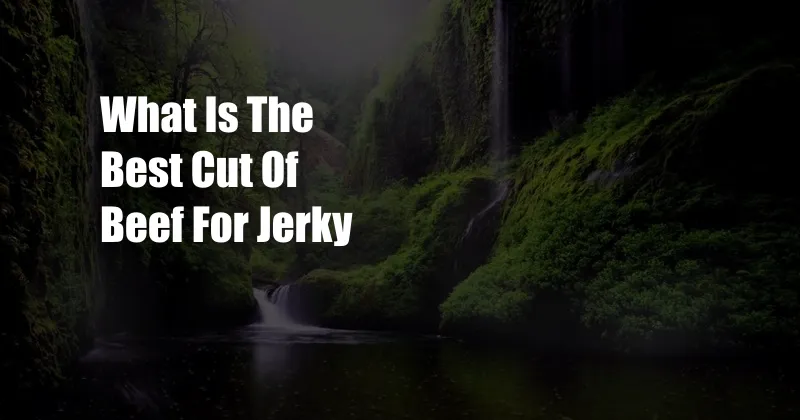 What Is The Best Cut Of Beef For Jerky