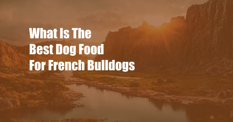 What Is The Best Dog Food For French Bulldogs