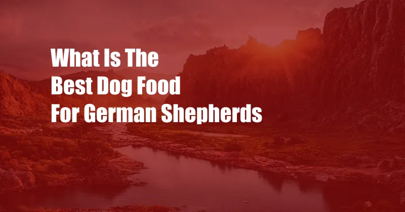 What Is The Best Dog Food For German Shepherds