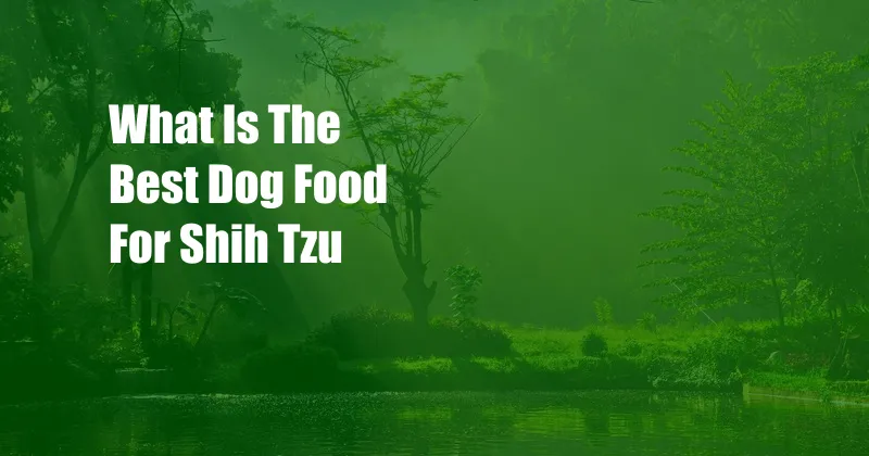 What Is The Best Dog Food For Shih Tzu
