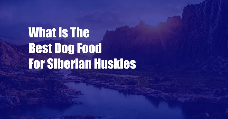 What Is The Best Dog Food For Siberian Huskies