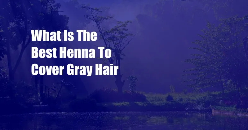 What Is The Best Henna To Cover Gray Hair