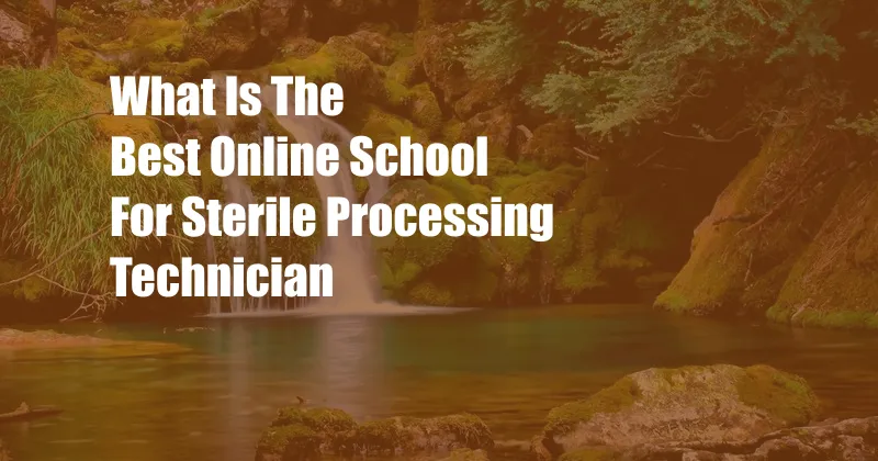 What Is The Best Online School For Sterile Processing Technician