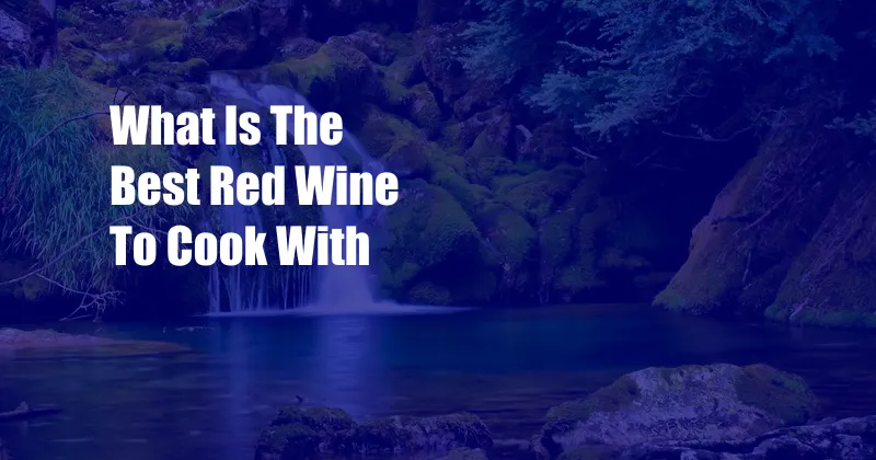 What Is The Best Red Wine To Cook With