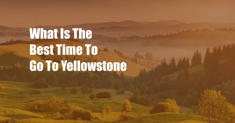 What Is The Best Time To Go To Yellowstone