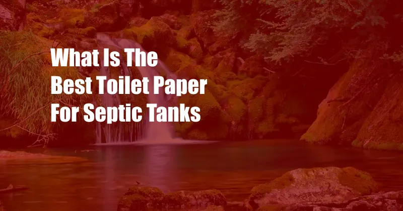 What Is The Best Toilet Paper For Septic Tanks