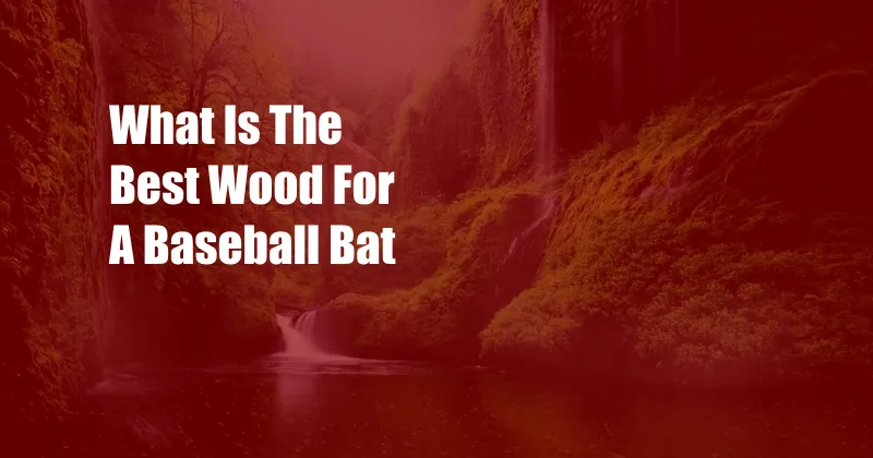 What Is The Best Wood For A Baseball Bat