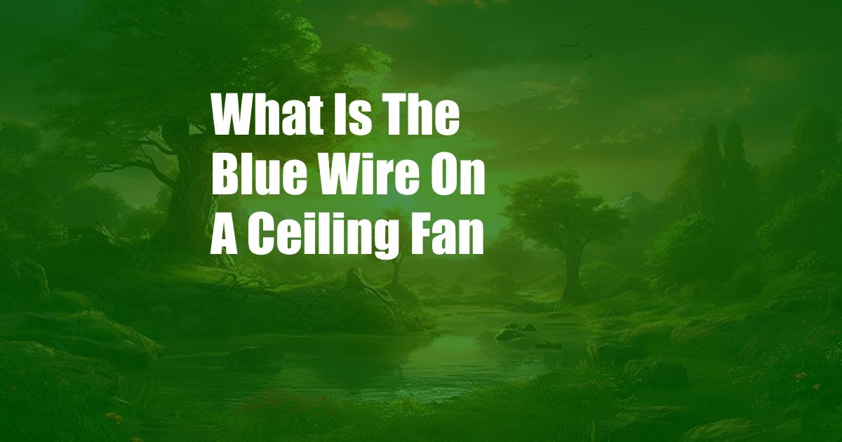 What Is The Blue Wire On A Ceiling Fan