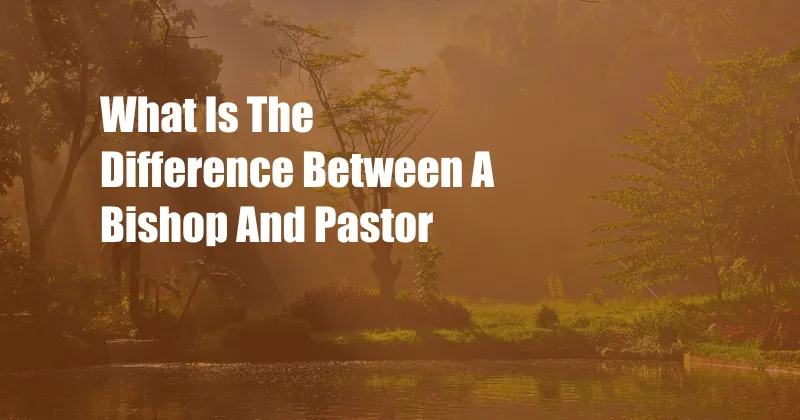 What Is The Difference Between A Bishop And Pastor
