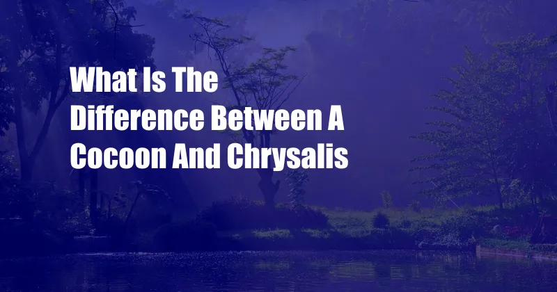 What Is The Difference Between A Cocoon And Chrysalis