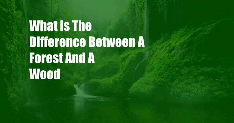 What Is The Difference Between A Forest And A Wood