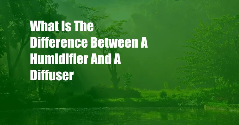 What Is The Difference Between A Humidifier And A Diffuser