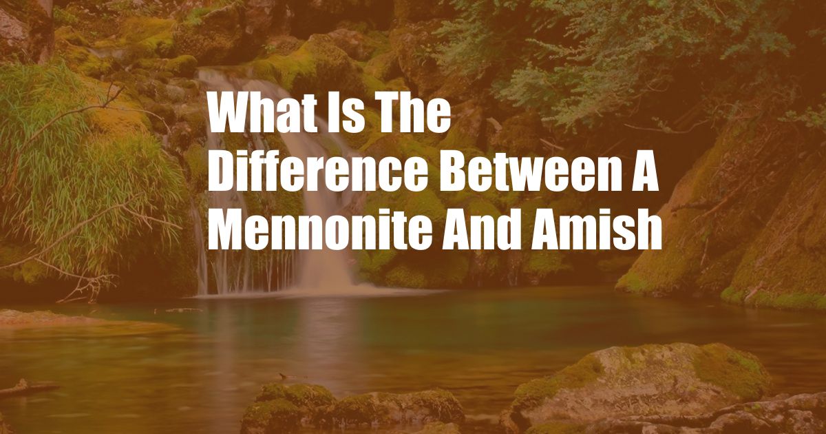 What Is The Difference Between A Mennonite And Amish