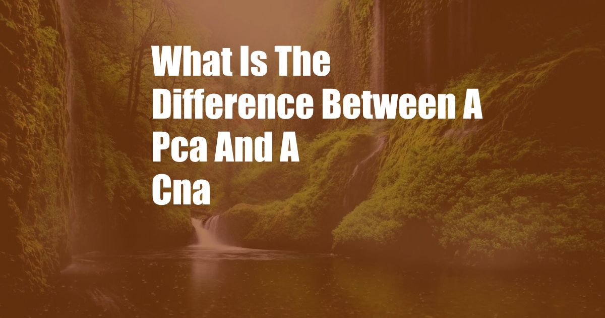 What Is The Difference Between A Pca And A Cna