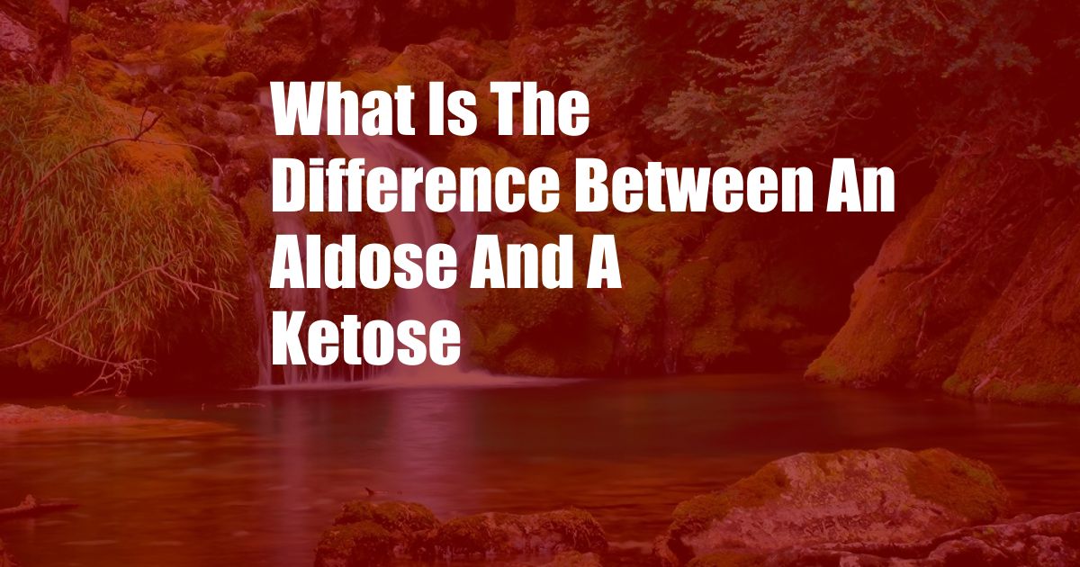 What Is The Difference Between An Aldose And A Ketose