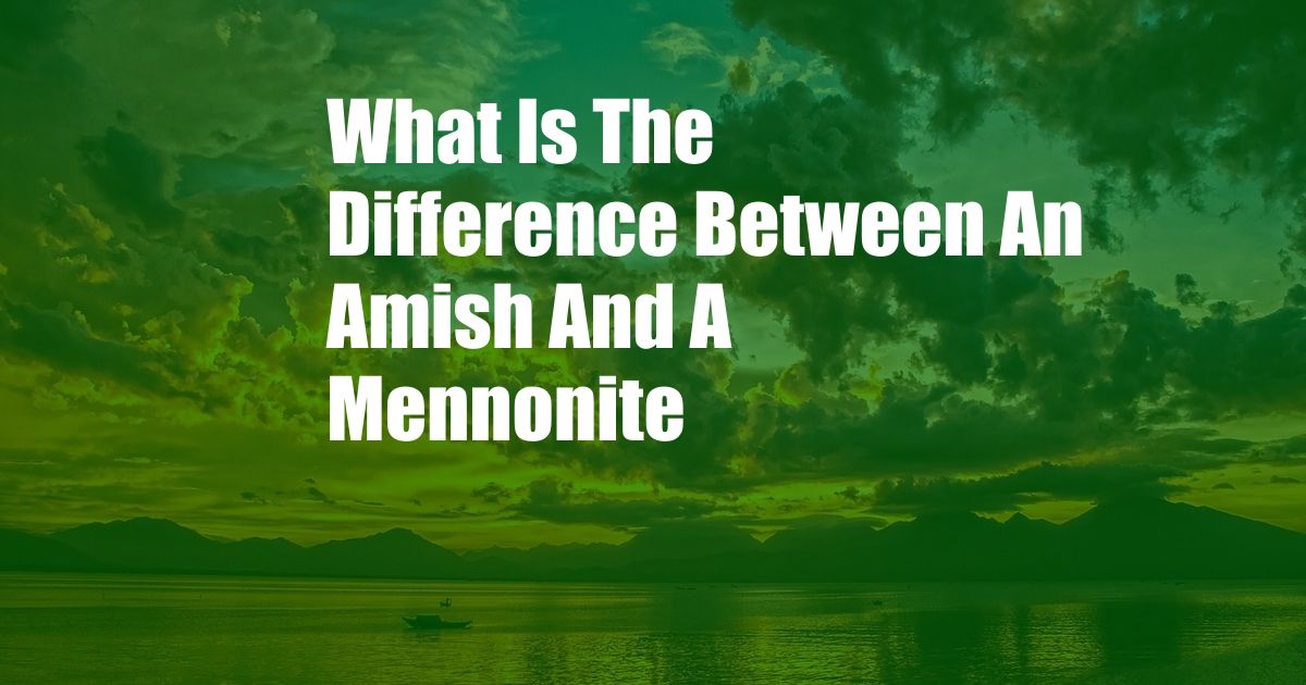 What Is The Difference Between An Amish And A Mennonite