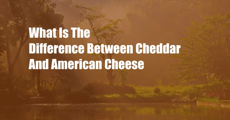 What Is The Difference Between Cheddar And American Cheese