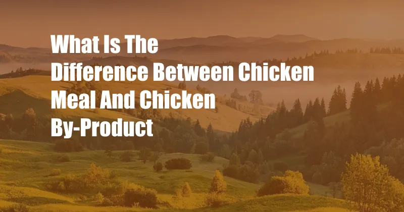 What Is The Difference Between Chicken Meal And Chicken By-Product